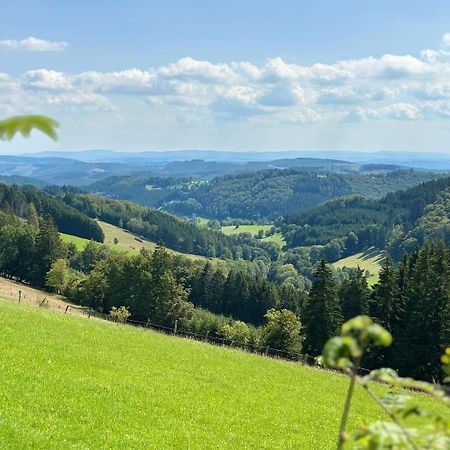 Ferienwohnung Up Willingen-Schwalefeld 维林根 外观 照片