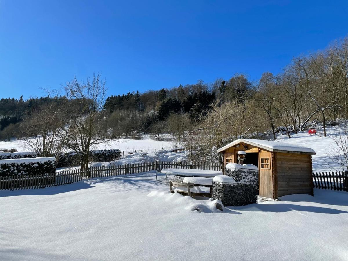 Ferienwohnung Up Willingen-Schwalefeld 维林根 外观 照片
