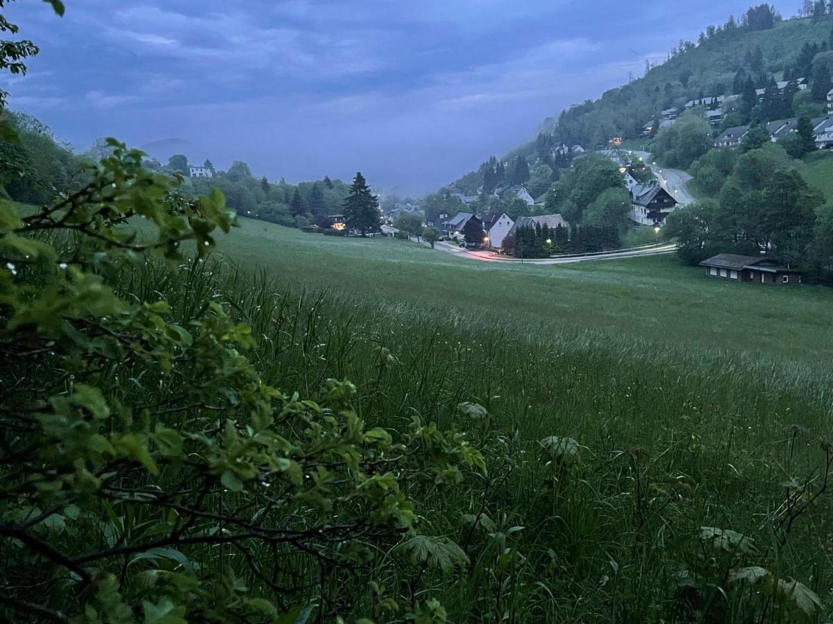 Ferienwohnung Up Willingen-Schwalefeld 维林根 外观 照片