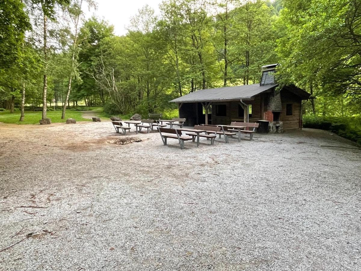 Ferienwohnung Up Willingen-Schwalefeld 维林根 外观 照片