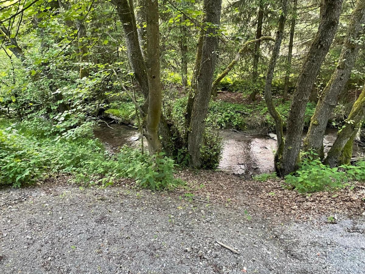 Ferienwohnung Up Willingen-Schwalefeld 维林根 外观 照片
