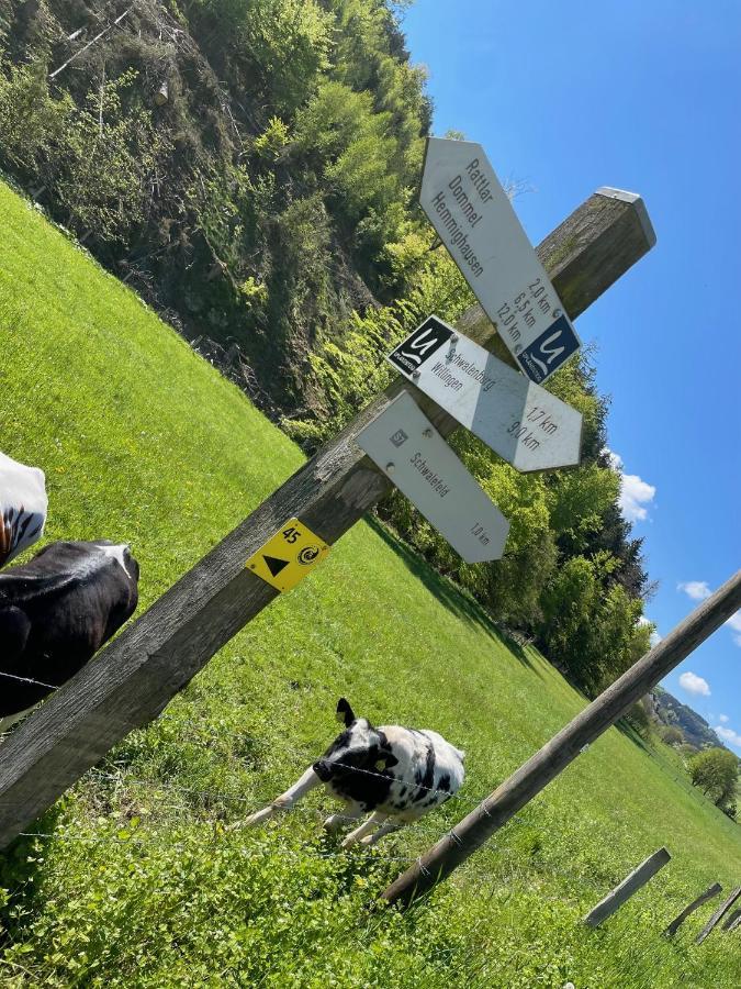 Ferienwohnung Up Willingen-Schwalefeld 维林根 外观 照片