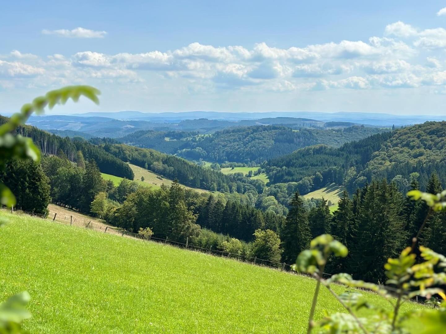 Ferienwohnung Up Willingen-Schwalefeld 维林根 外观 照片